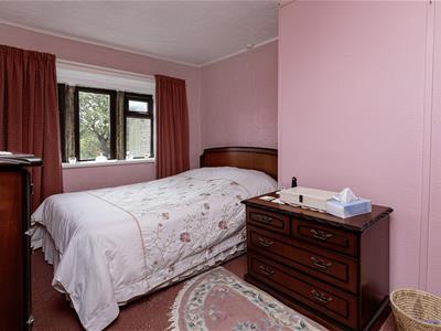 Picture 13